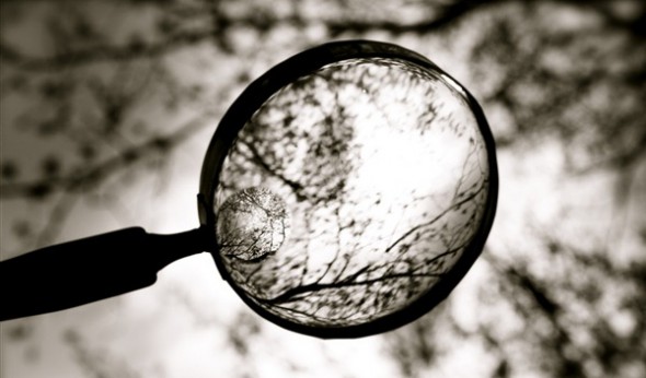 magnifying-glass_thumb.jpg